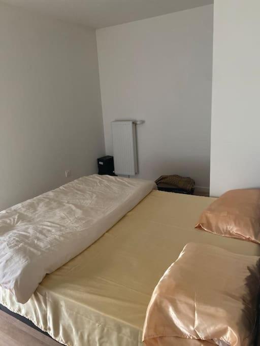 Grand Appartement Entier Situe A 오네수부아 외부 사진